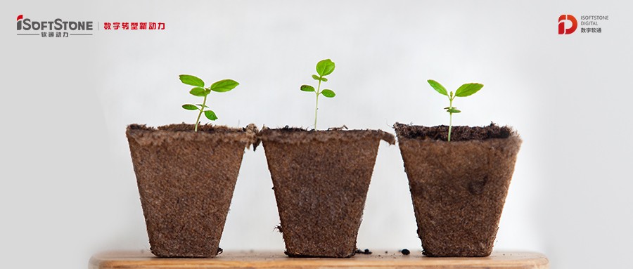 书香永续革命精神 爱心转达老区儿童——明升mansion88动力再次助力公益教育